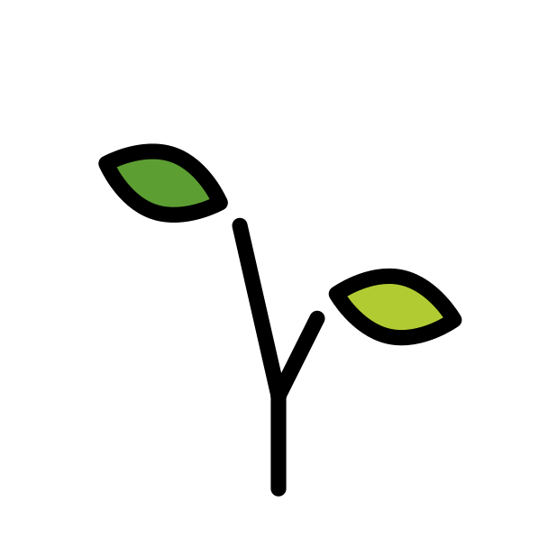 Seed