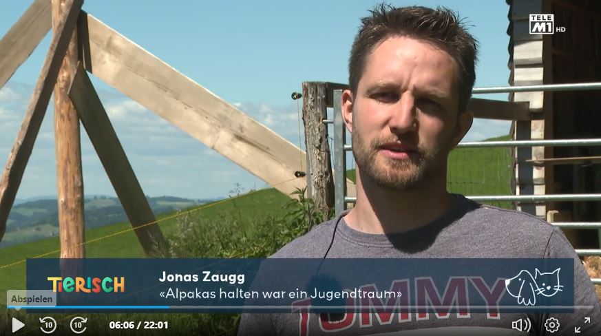 Telebärn berichtet über den Schmalenhof