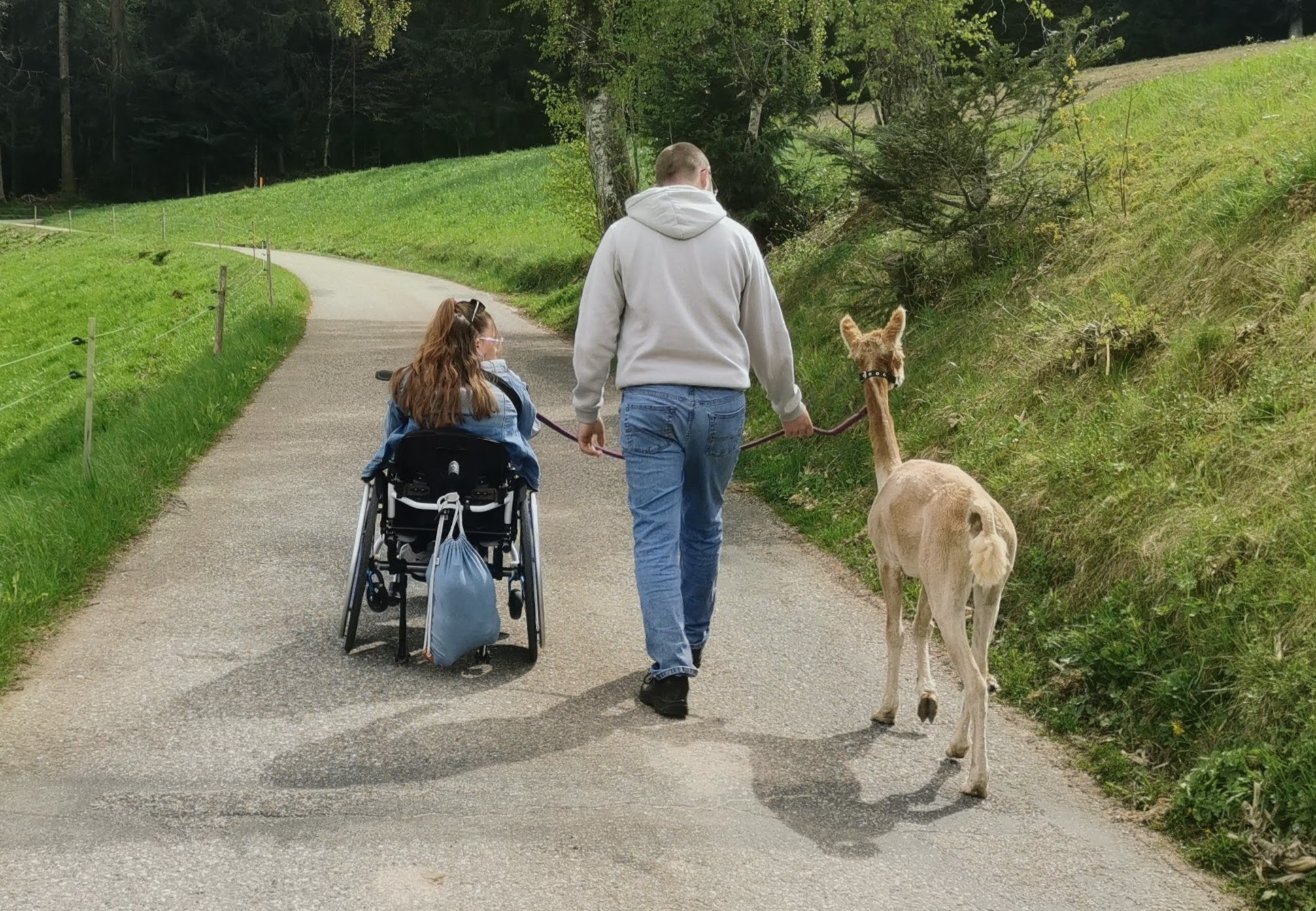 Ein schöner Frühlingsspaziergang